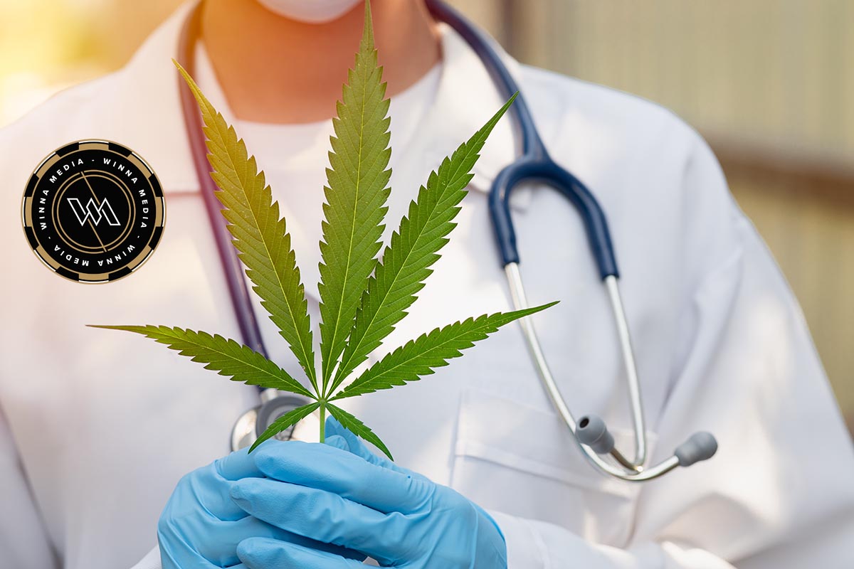 Thai Government changes cannabis laws.