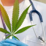 Thai Government changes cannabis laws