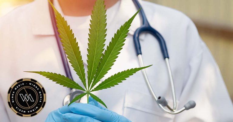 Thai Government changes cannabis laws