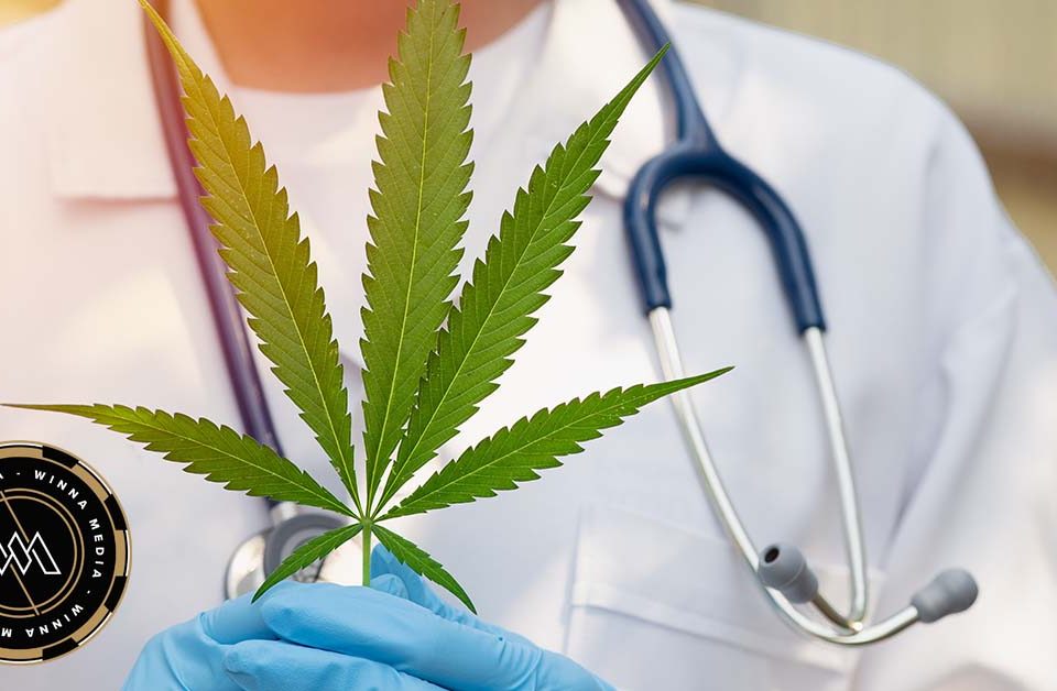 Thai Government changes cannabis laws